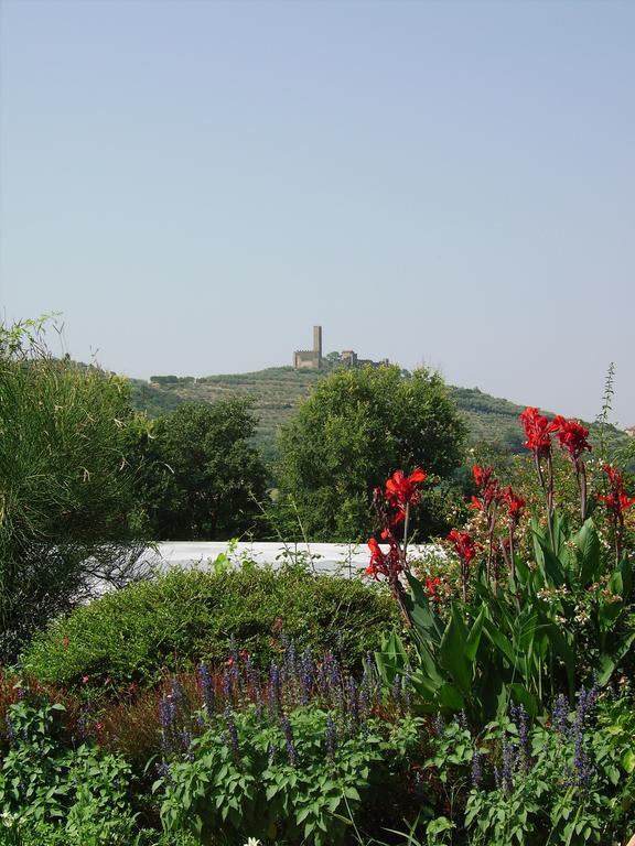 Villa Il Belvedere Di Roccavo Castiglion Fiorentino Exterior foto